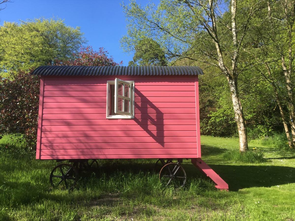 Blackstairs Shepherds Huts Killedmond ภายนอก รูปภาพ