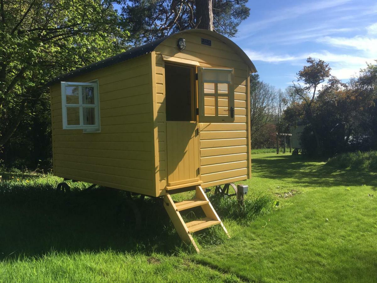 Blackstairs Shepherds Huts Killedmond ภายนอก รูปภาพ